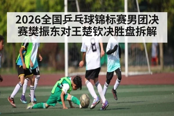 2026全国乒乓球锦标赛男团决赛樊振东对王楚钦决胜盘拆解